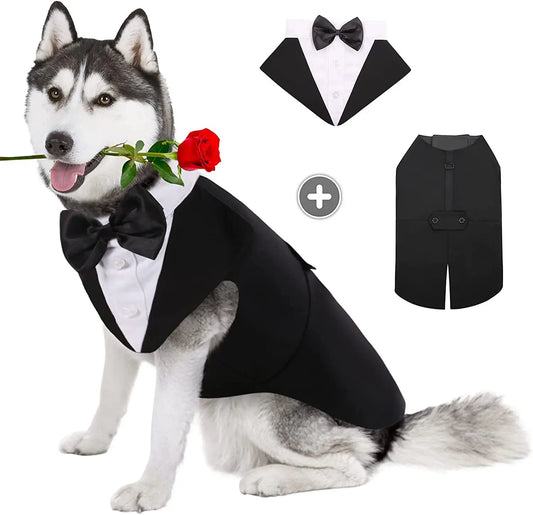 Fido Fashion Gala