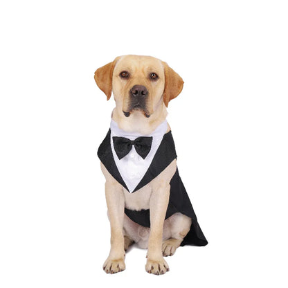 Fido Fashion Gala