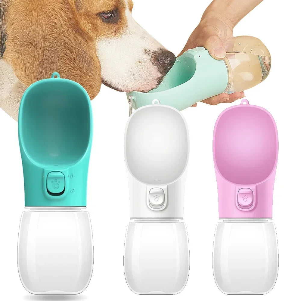 Distributeur d'eau portable pour chiens de tous les jours 